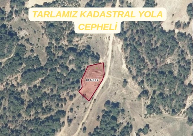 KÜTAHYA ALTINTAŞ SARAYCIK KÖYÜNDE 2.291 M² TARLA SATILIKTIR. - KÜTAHYA ALTINTAŞ fotoğraf 2